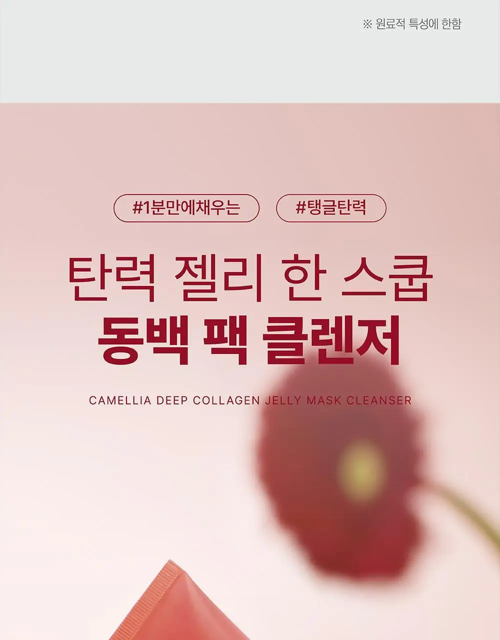 [9,900원 특가] 라운드랩 동백/소나무 팩 클렌저 150ml 기획 (+클렌징해면퍼프) 상세페이지 22